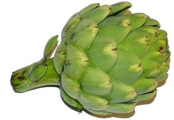 artichoke.jpg