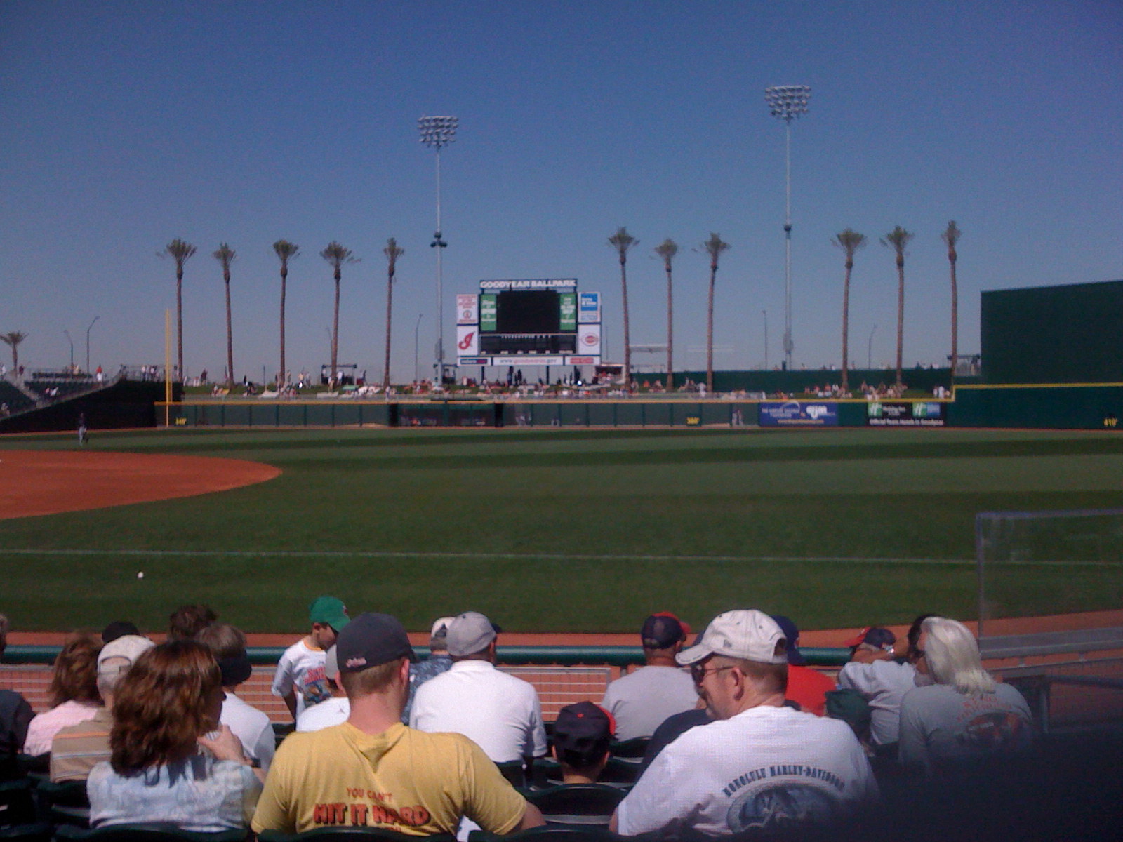 outfield-grass.JPG